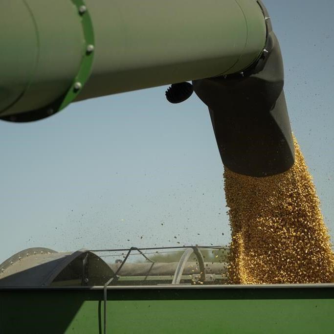 Cover crops help the climate and environment but most farmers say no. Many fear losing money